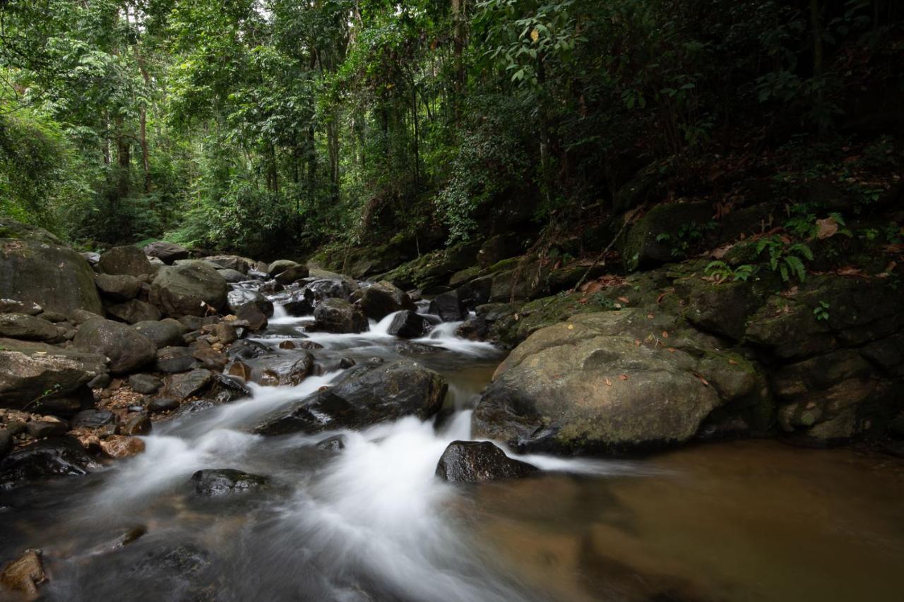 Moksha At Kitulgala - Rainforest Boutique Hotel Dış mekan fotoğraf